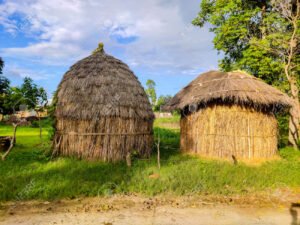 Traditional Straw Storage Huts